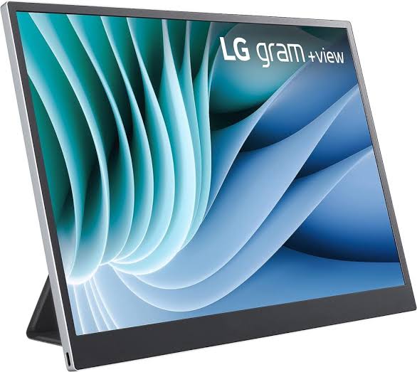 Monitor Portatil